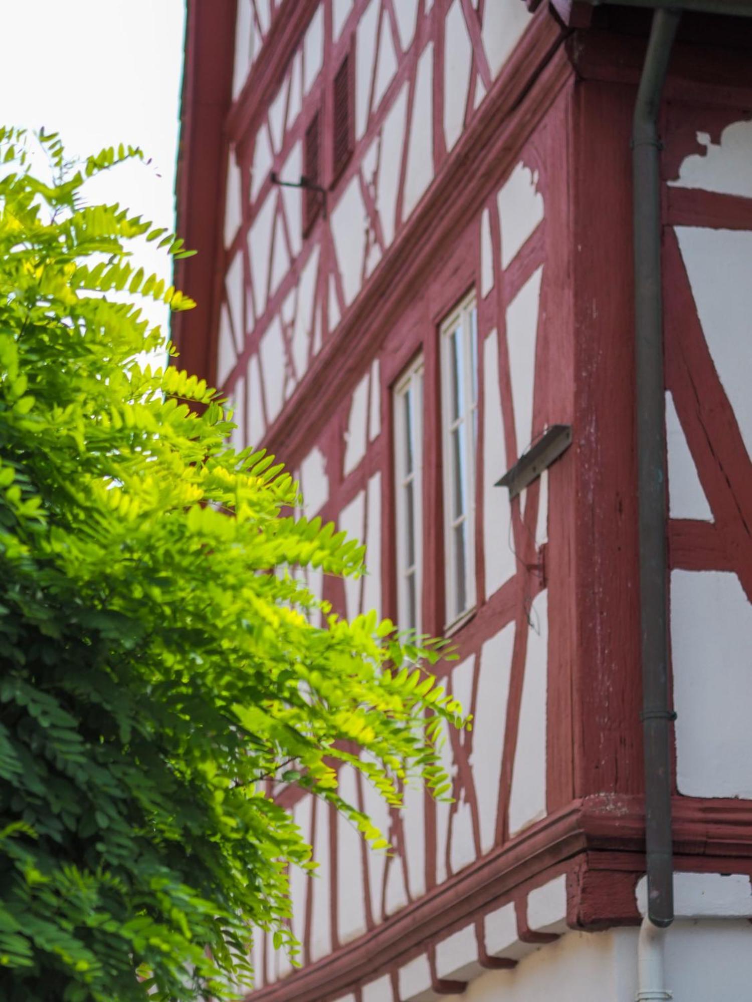 Weinstrasse No 8 "Einfach-Gut-Uebernachten" Ляйнсвайлер Екстер'єр фото